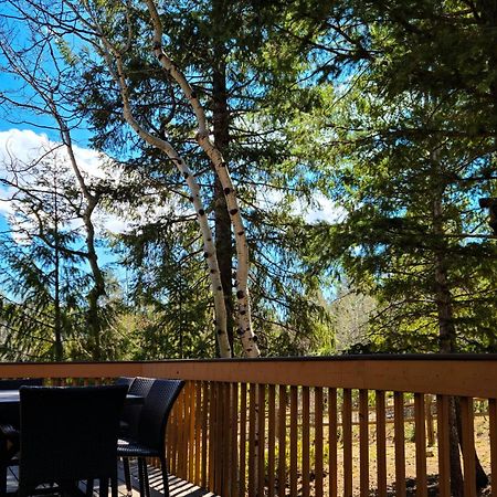 Villa Timber Wolf Woodland Park Exterior foto